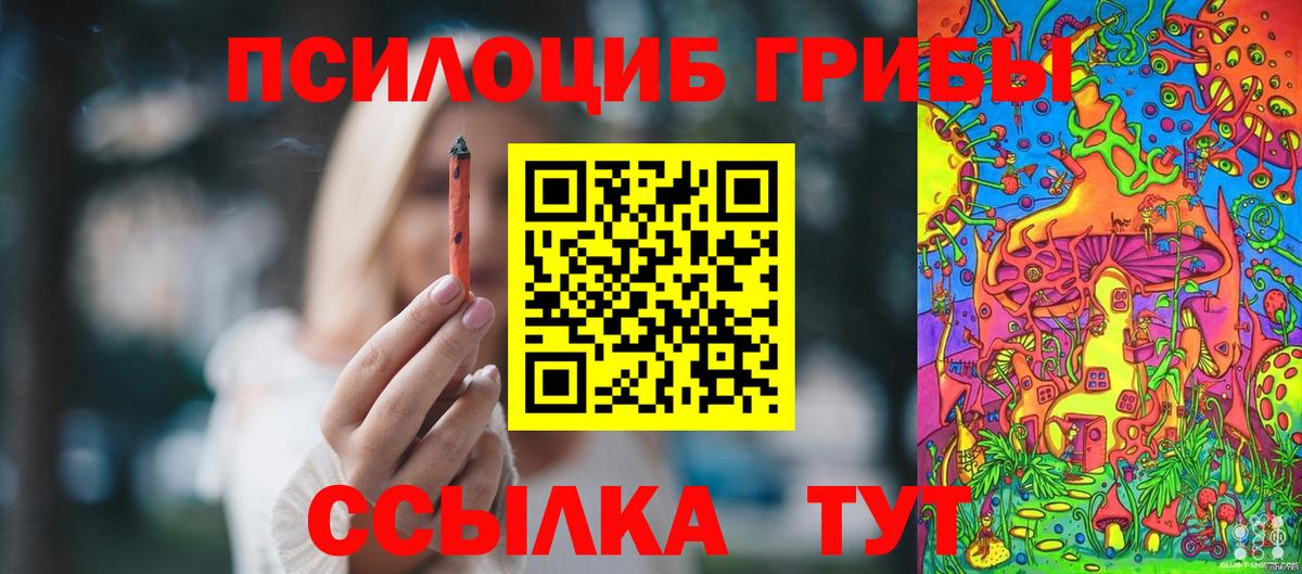 Нурлат  где продают наркотики  Вход с VPN  Галлюциногенные грибы Psilocybine cubensis 