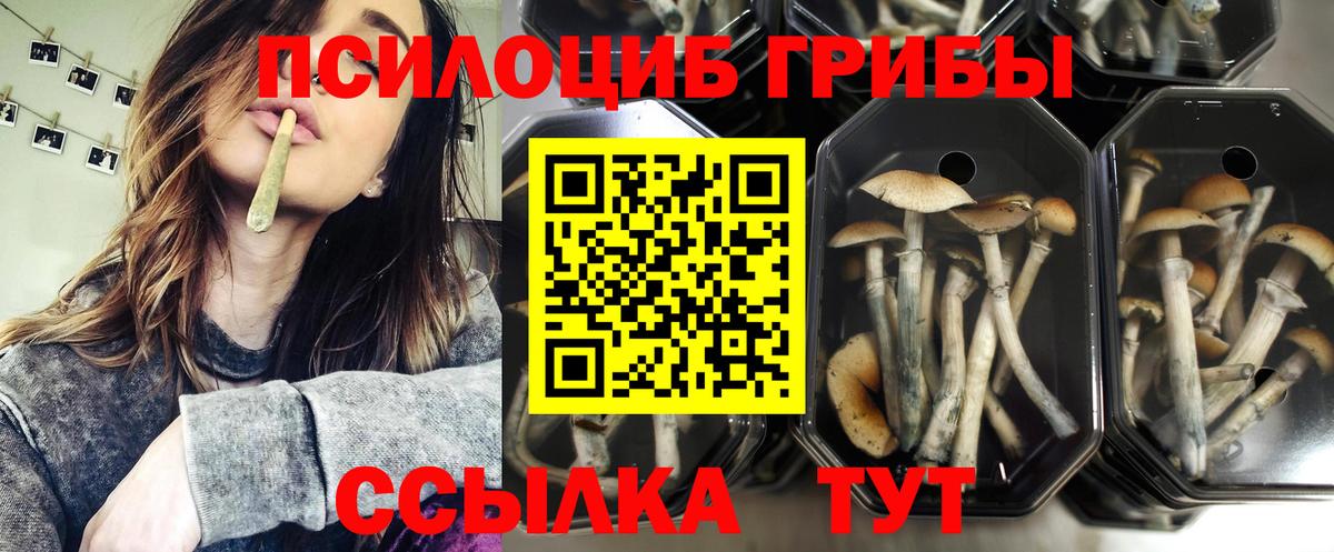 Галлюциногенные грибы GOLDEN TEACHER Нурлат